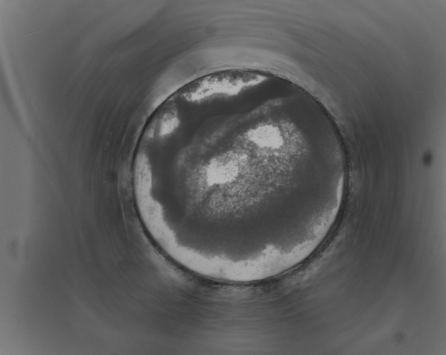 X0000094221521200711241710