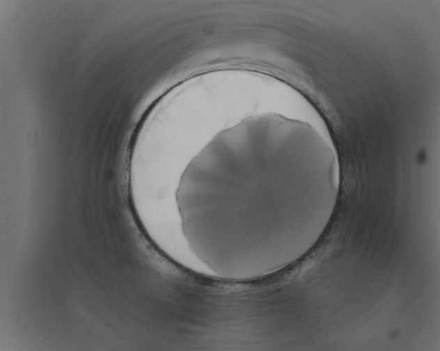 X0000094221522200711241710