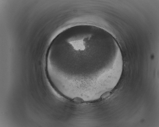 X0000094221523200711241710