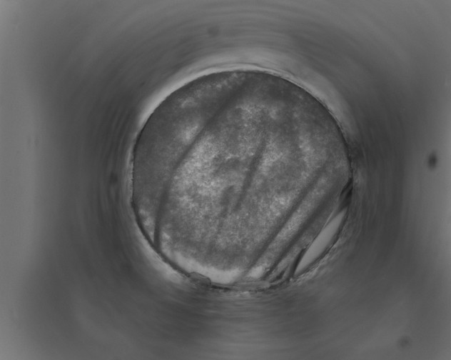 X0000094221524200711241710