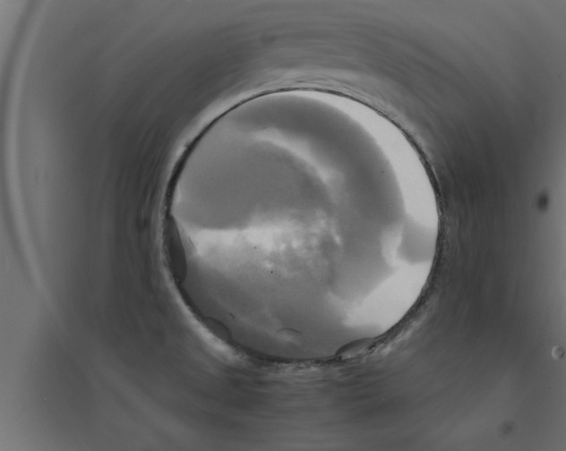 X0000094221525200711241710