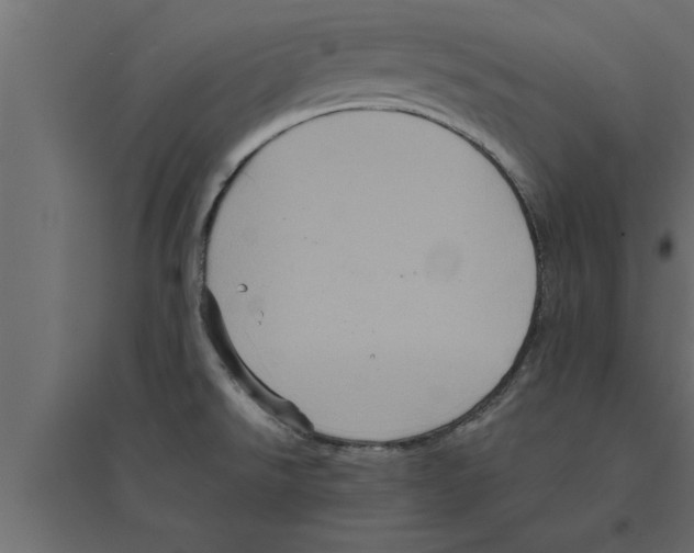 X0000094221526200711241710