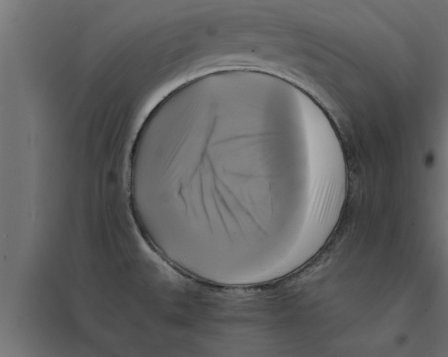 X0000094221527200711241710