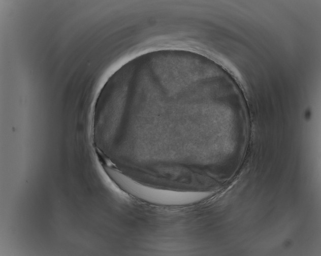 X0000094221528200711241710