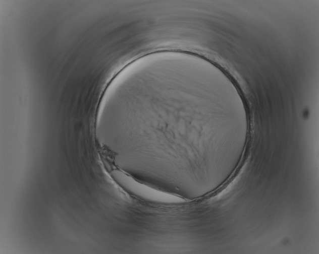 X0000094221529200711241710