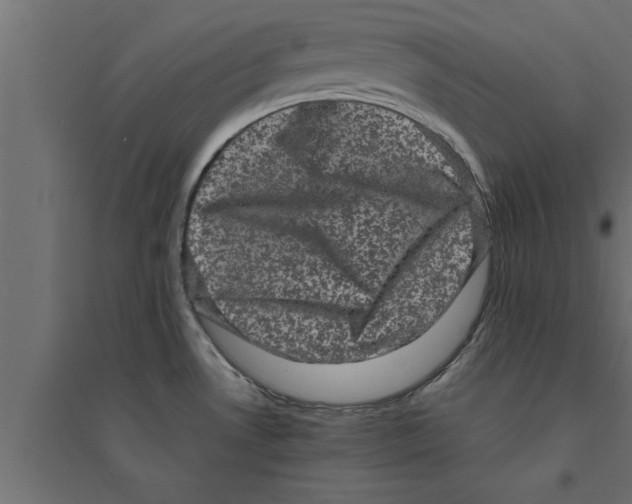 X0000094221530200711241710