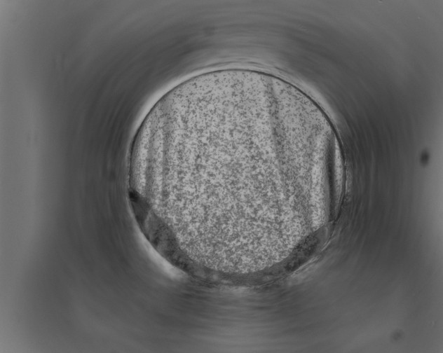 X0000094221532200711241710