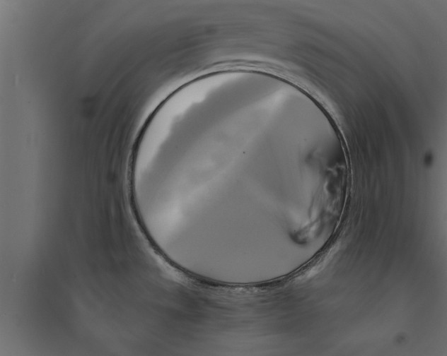 X0000094221533200711241711