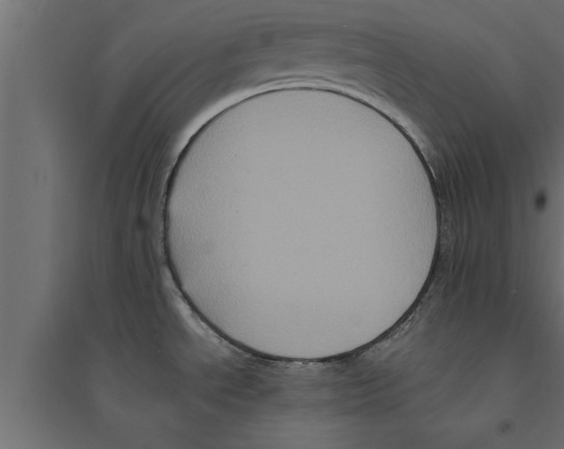 X0000094221534200711241711