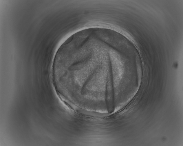 X0000094221536200711241711