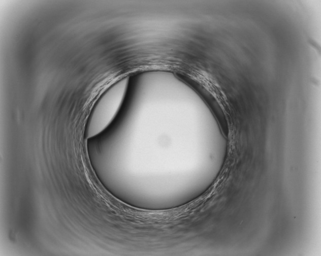 X0000094230001200710261023