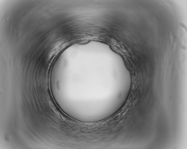 X0000094230002200710261023