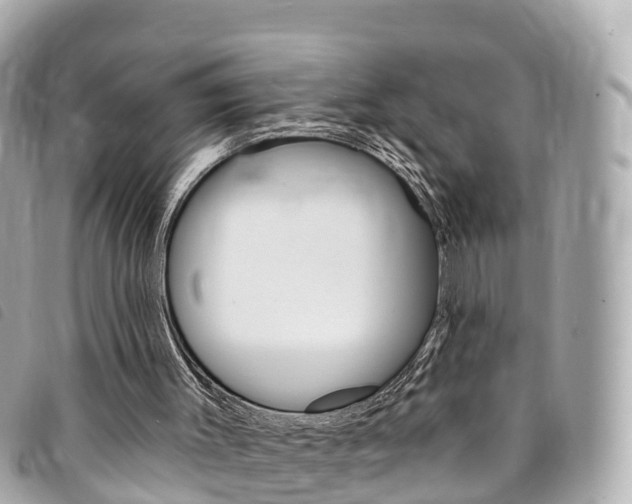 X0000094230003200710261023