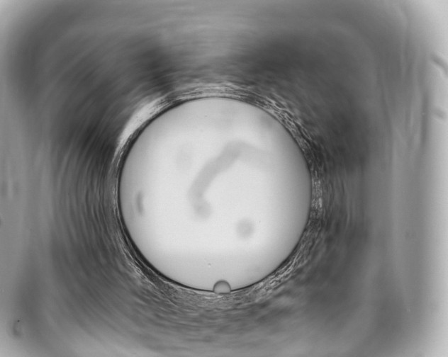 X0000094230004200710261023