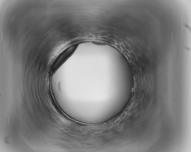 X0000094230005200710261023