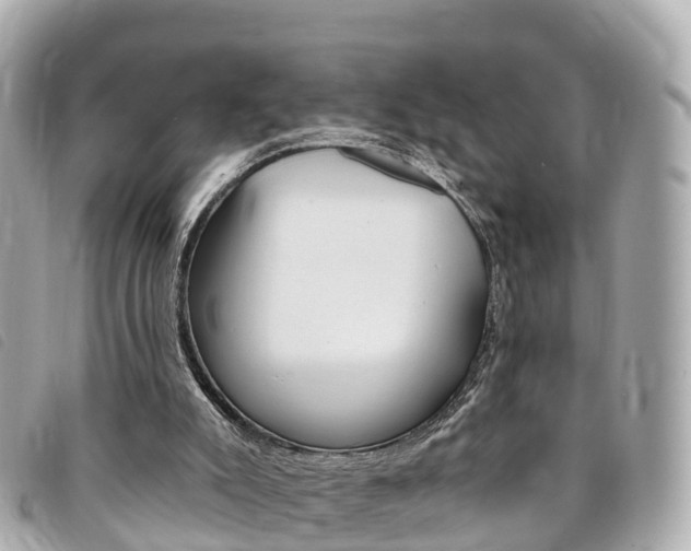 X0000094230007200710261023