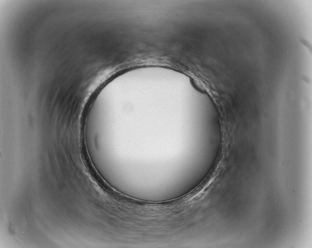 X0000094230008200710261023