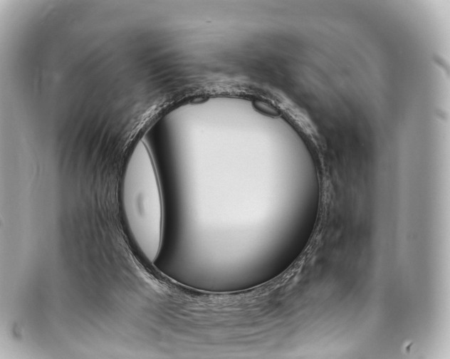 X0000094230009200710261023