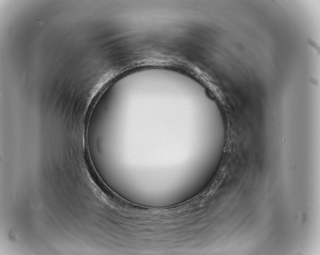 X0000094230011200710261023