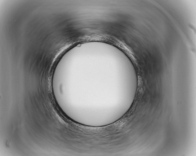 X0000094230012200710261023