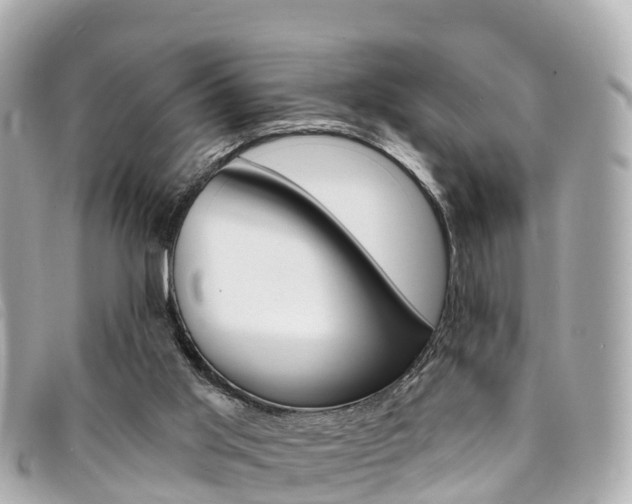 X0000094230013200710261023