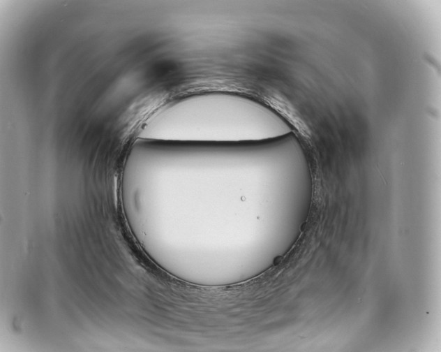 X0000094230014200710261023