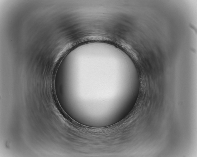 X0000094230015200710261023