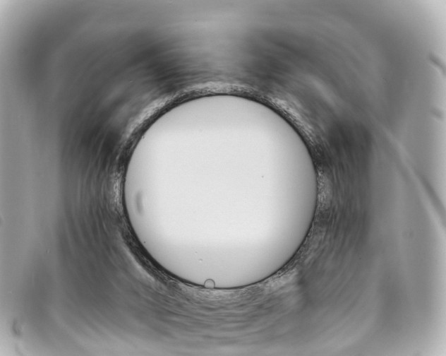 X0000094230016200710261023