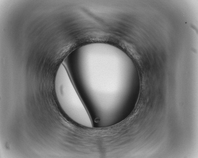 X0000094230017200710261023