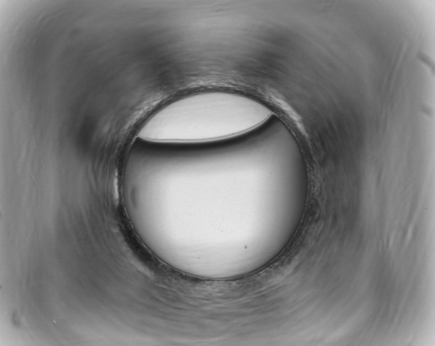X0000094230020200710261023