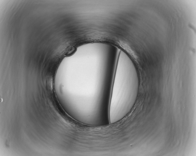 X0000094230021200710261023