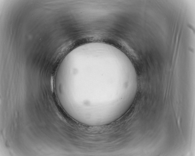 X0000094230022200710261023