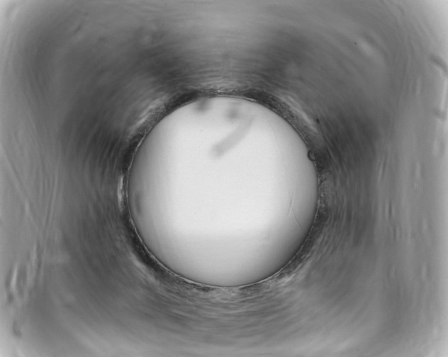 X0000094230024200710261023
