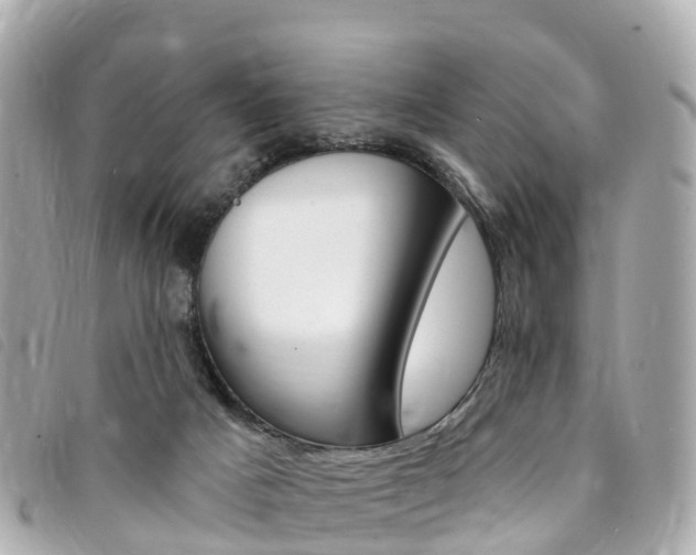 X0000094230025200710261023