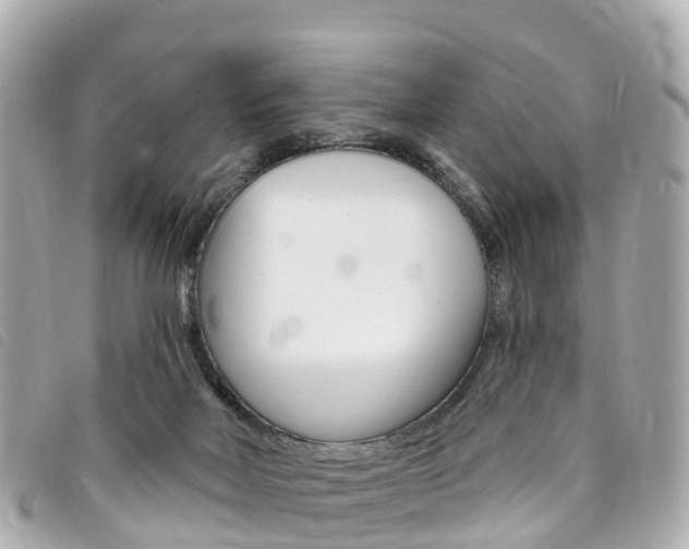 X0000094230026200710261023