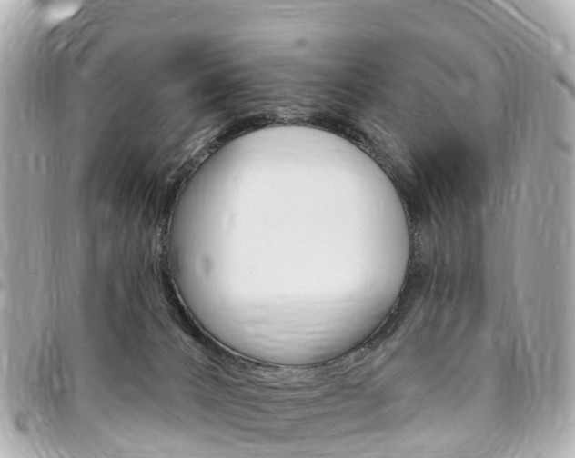 X0000094230032200710261023