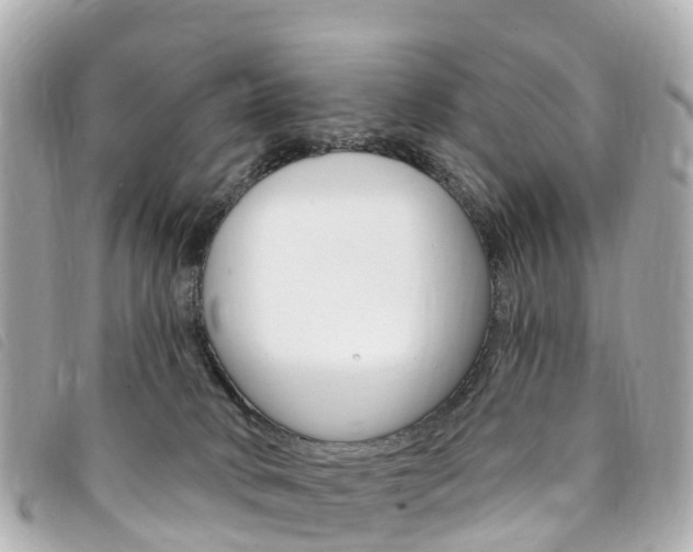 X0000094230034200710261023