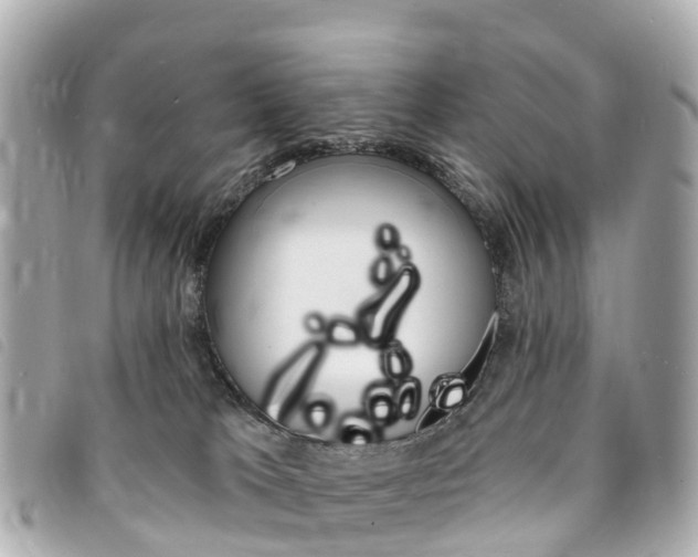 X0000094230037200710261023