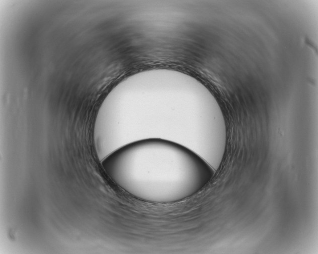 X0000094230039200710261023