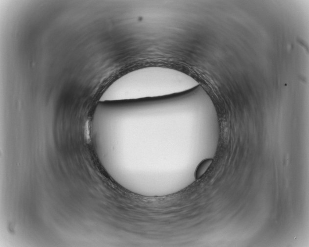 X0000094230042200710261023