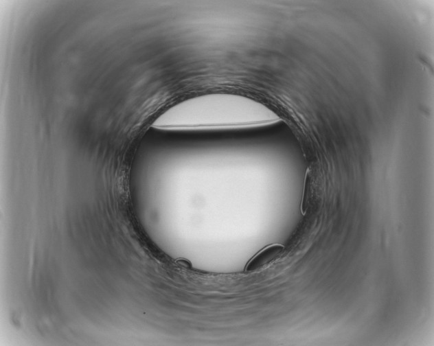 X0000094230044200710261023