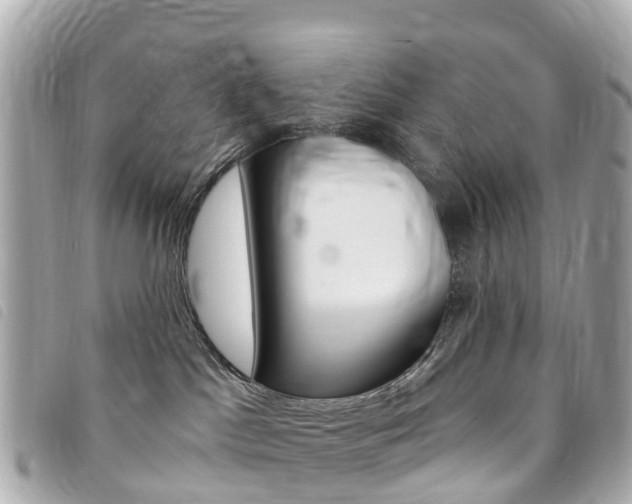X0000094230045200710261022