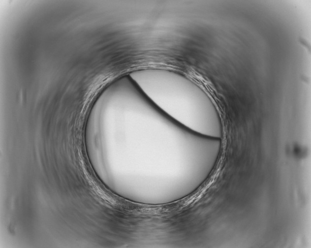 X0000094230049200710261022