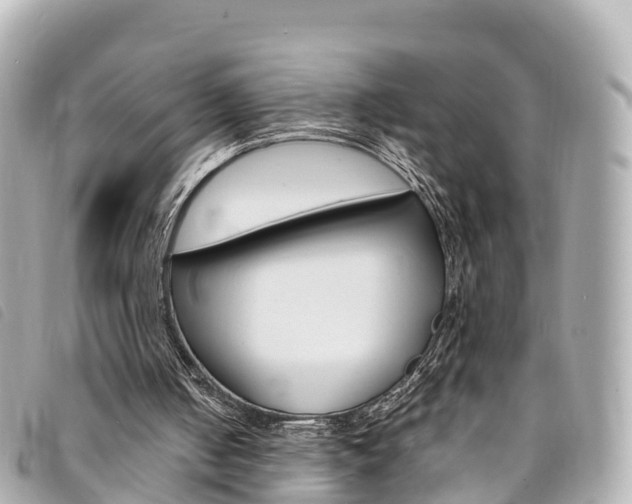 X0000094230050200710261022