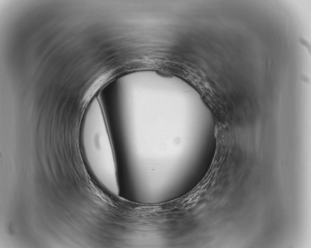 X0000094230051200710261022