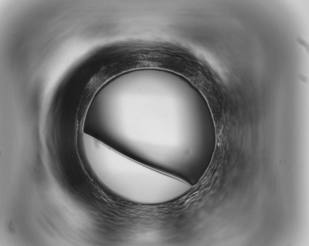 X0000094230052200710261022