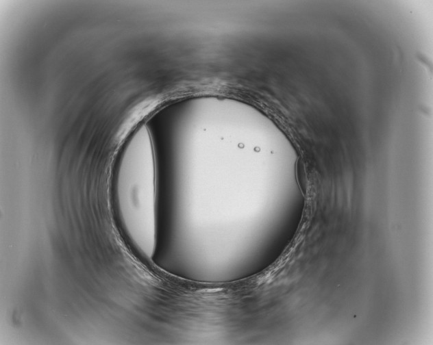 X0000094230054200710261022