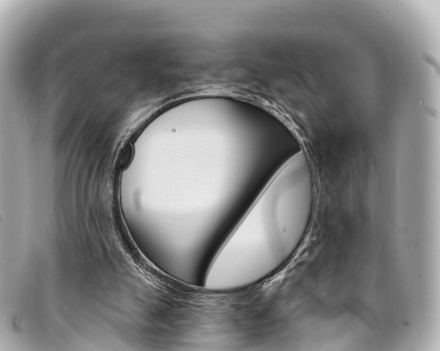 X0000094230055200710261022