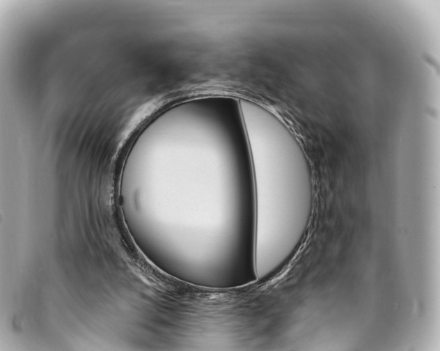 X0000094230056200710261022