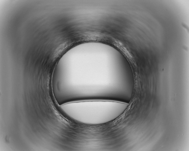 X0000094230058200710261022